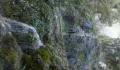 Trail Walking La Roquebrussanne - 83 Roquebrussane - Source des Orris -L'Amarron - Photo 6