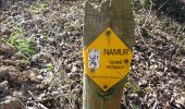 Trail Walking Namur - Balade à Malonne - Photo 2