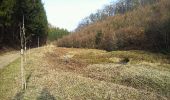 Randonnée Marche Saint-Léger - GAUME Chemin des ruisseaux Vallee de la Rouge-eau. - Photo 2