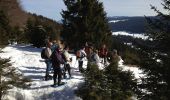 Tocht Sneeuwschoenen Bois-d'Amont - Raquettes 12 mars 2012 - Photo 1