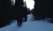 Excursión Raquetas de nieve Prémanon - Raquette 10 Mars 2012 - Photo 6