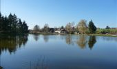 Trail Walking Ham-sur-Heure-Nalinnes - La balade des étangs du Chêneau - Photo 4