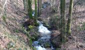 Trail Walking Ham-sur-Heure-Nalinnes - La balade des étangs du Chêneau - Photo 2