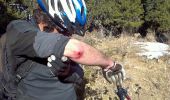 Trail Mountain bike Sauto - Randoguide - Photo 3