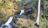 Trail Walking Xonrupt-Longemer - Tour du lac de Retournemer et cascade Charlemagne - Photo 2
