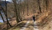 Excursión Senderismo Herbeumont - à trogne Semois  - Photo 1