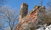 Tour Wandern Philippsburg - Les 3 châteaux : Falkenstein, Rothenbourg, Waldeck - Photo 2