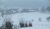 Tocht Stappen Saulzet-le-Froid - Ski de fond près de Zanières autour du Puy de Monténard - Photo 1