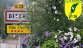 Randonnée Marche Bitche - Circuit panoramique de Bitche - Photo 6