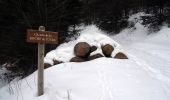 Tour Wandern Büssing - La Tête de la Bouloie - Bussang - Photo 4