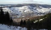 Tocht Sneeuwschoenen Bussang - La Tête de la Bouloie - Bussang - Photo 5