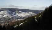 Tocht Sneeuwschoenen Bussang - La Tête de la Bouloie - Bussang - Photo 2