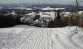 Tocht Sneeuwschoenen Bussang - La Tête de la Bouloie - Bussang - Photo 1