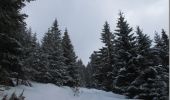 Randonnée Raquettes à neige La Bresse - Autour de La Bresse - Photo 1