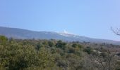 Trail Mountain bike Bédoin - Bédoin au pied du Mont Ventoux - Photo 2