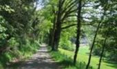 Trail Walking Bourganeuf - Les Gorges du Verger - Bourganeuf - Photo 5