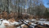 Trail Walking Picherande - La Fontaine Salée par le bois de Charreire - Photo 5