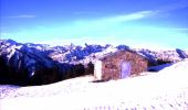 Tour Schneeschuhwandern Albiès - Raquette au plateau de Beille - Les Cabannes - Photo 1