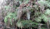 Excursión Senderismo Les Hautes-Rivières - Balade à Sorendal - Les Hautes Rivières - Photo 3