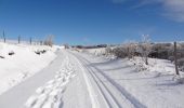 Tocht Sneeuwschoenen Lacaune - Boucle du Bel Vespré - Lacaune - Photo 1
