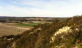 Trail Walking Villeneuve-lès-Avignon - Promenade colline Saint Bruno - Photo 8