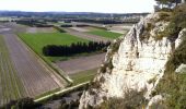 Excursión Senderismo Villeneuve-lès-Avignon - Promenade colline Saint Bruno - Photo 5