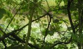 Randonnée Marche Gesves - OHEY- REPPE- N°11-Biodiversité  - Photo 3