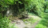 Trail Walking Ohey - OHEY- Evelette (Libois)- N° 13 Eau  - Photo 19