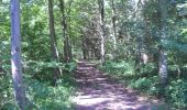 Trail Walking Ohey - OHEY- Goesnes- N°15- Paysage condruzien  - Photo 9