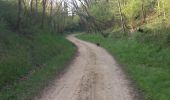 Trail Walking Appoigny - Appoigny balade matinale - Photo 10