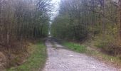 Trail Walking Marche-en-Famenne - Bois de Aye - Photo 1