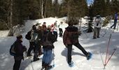 Trail Snowshoes Gimel - Raquette 11 Mars 2012 - Photo 8