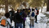 Trail Snowshoes Gimel - Raquette 11 Mars 2012 - Photo 2