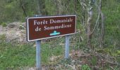 Trail Walking Sommedieue - circuit de la Marjolaine - Photo 1