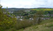 Trail Walking Dinant - Balade dans la vallée de la Haute Meuse - De Dinant à Dréhance - Photo 4