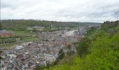 Randonnée Marche Dinant - Balade dans la vallée de la Haute Meuse - De Dinant à Dréhance - Photo 5