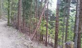 Tour Wandern Markirch - 2012-04-29 15h56m08 randos haycot brezouard - Photo 10