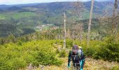 Tour Wandern Markirch - 2012-04-29 15h56m08 randos haycot brezouard - Photo 6