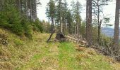 Trail Walking Sainte-Marie-aux-Mines - 2012-04-29 15h56m08 randos haycot brezouard - Photo 5
