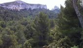 Tour Wandern Saint-Rémy-de-Provence - Rocher des deux trous, mont Gausset - Photo 19