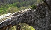 Trail Walking Saint-Rémy-de-Provence - Rocher des deux trous, mont Gausset - Photo 18