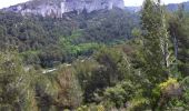 Randonnée Marche Saint-Rémy-de-Provence - Rocher des deux trous, mont Gausset - Photo 15