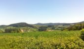 Tour Mountainbike Belleroche - Marche de Belleroche - Photo 7