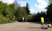 Trail Walking Bourbach-le-Haut - Fa Fourmi vers Belacker - Photo 5