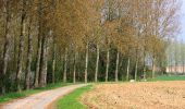 Trail Walking Wancourt - Wancourt - Héninel - Guémappe - Photo 1