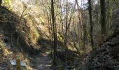 Tocht Stappen Chamalières - Ambiances Forestières - Chamalières - Photo 1