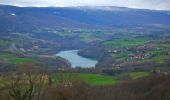 Trail Walking Seyssel - Sur les Pas des Huguenots - Seyssel  - Frangy - Photo 4