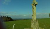 Tour Wandern Saint-Jeures - Les champs de St Jeures - Photo 1