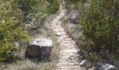 Trail Walking Les Plans - Cirque des Plans - Photo 2