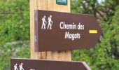 Trail Walking La Gorgue - Chemin «Au fil de la Lys» - La Gorgue - Photo 2